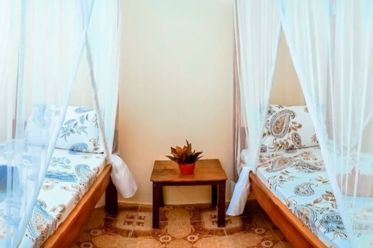Une chambre avec deux lits, chacun surmonté d’un baldaquin, une petite table avec une plante et une literie à motifs.
