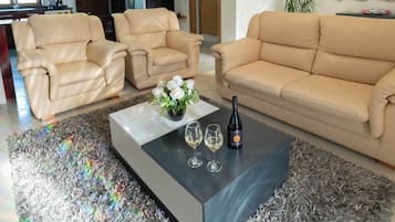 TV connectée, cheminée, lecteur de DVD, baby-foot