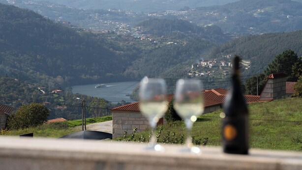 A scenic view of a valley with a lake, houses, and a bottle of wine on a table. - Private Pool and Hot Tub on the Douro River (São Lourenço do Douro)