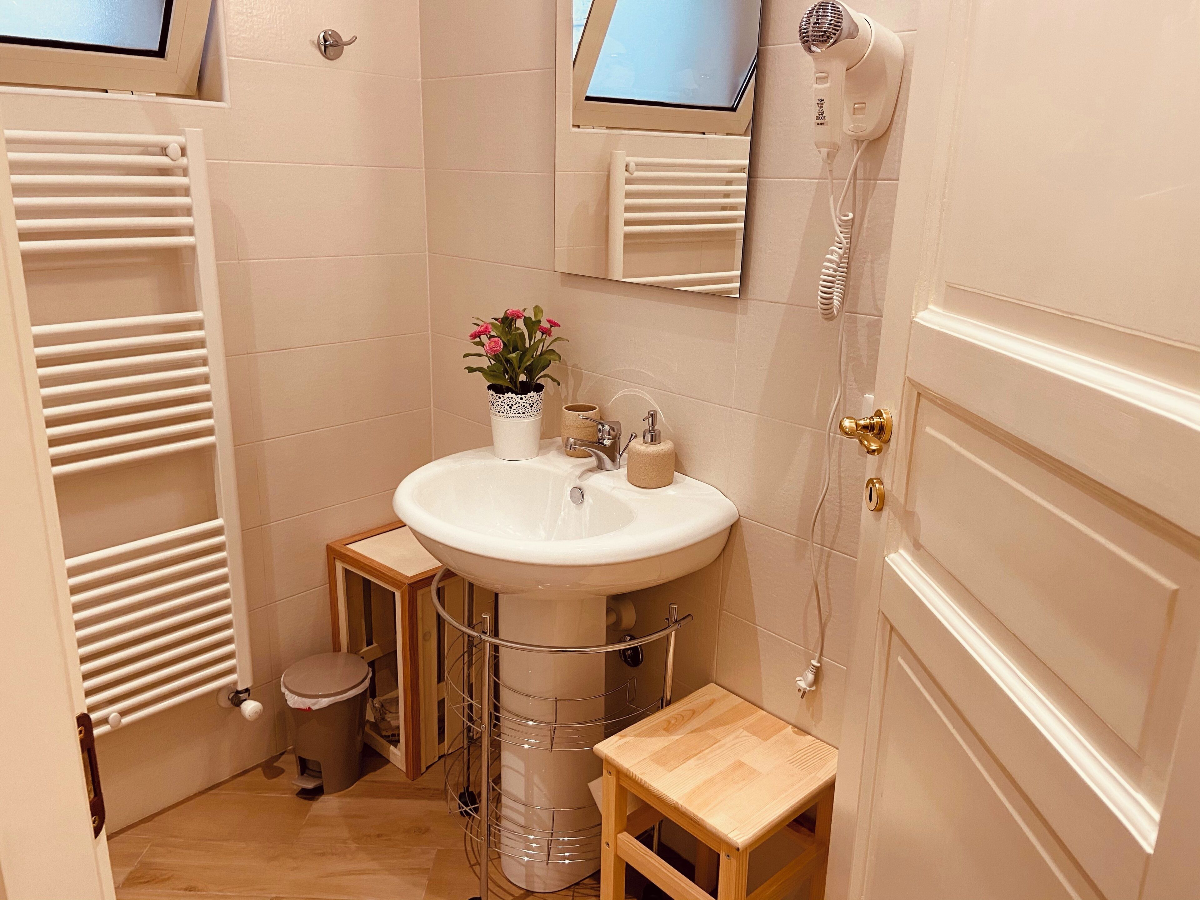 A compact bathroom with a sink, mirror, and hairdryer.