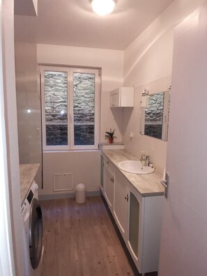 Shower, hair dryer, towels, toilet paper - Superb spacious apartment  (Saint-Brieuc)