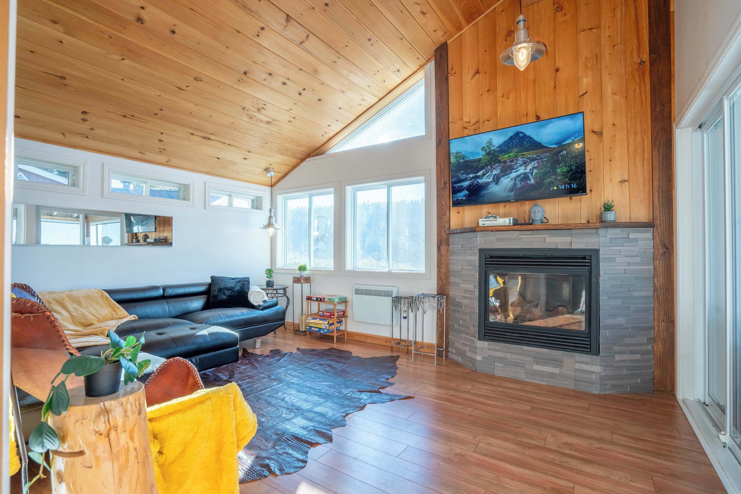 Fernseher, Kamin, Bücher