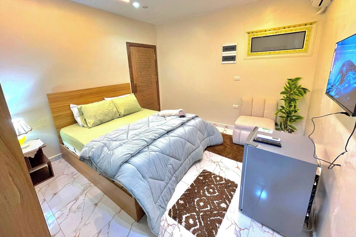 A modern bedroom with a bed, a TV, a desk, and a plant.