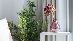 Ein modernes Wohnzimmer mit einem rosafarbenen Sofa, einem weißen Beistelltisch, einer rosa Vase mit Blumen und einer Zimmerpflanze.
