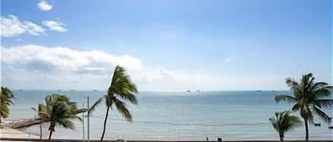 在海滩