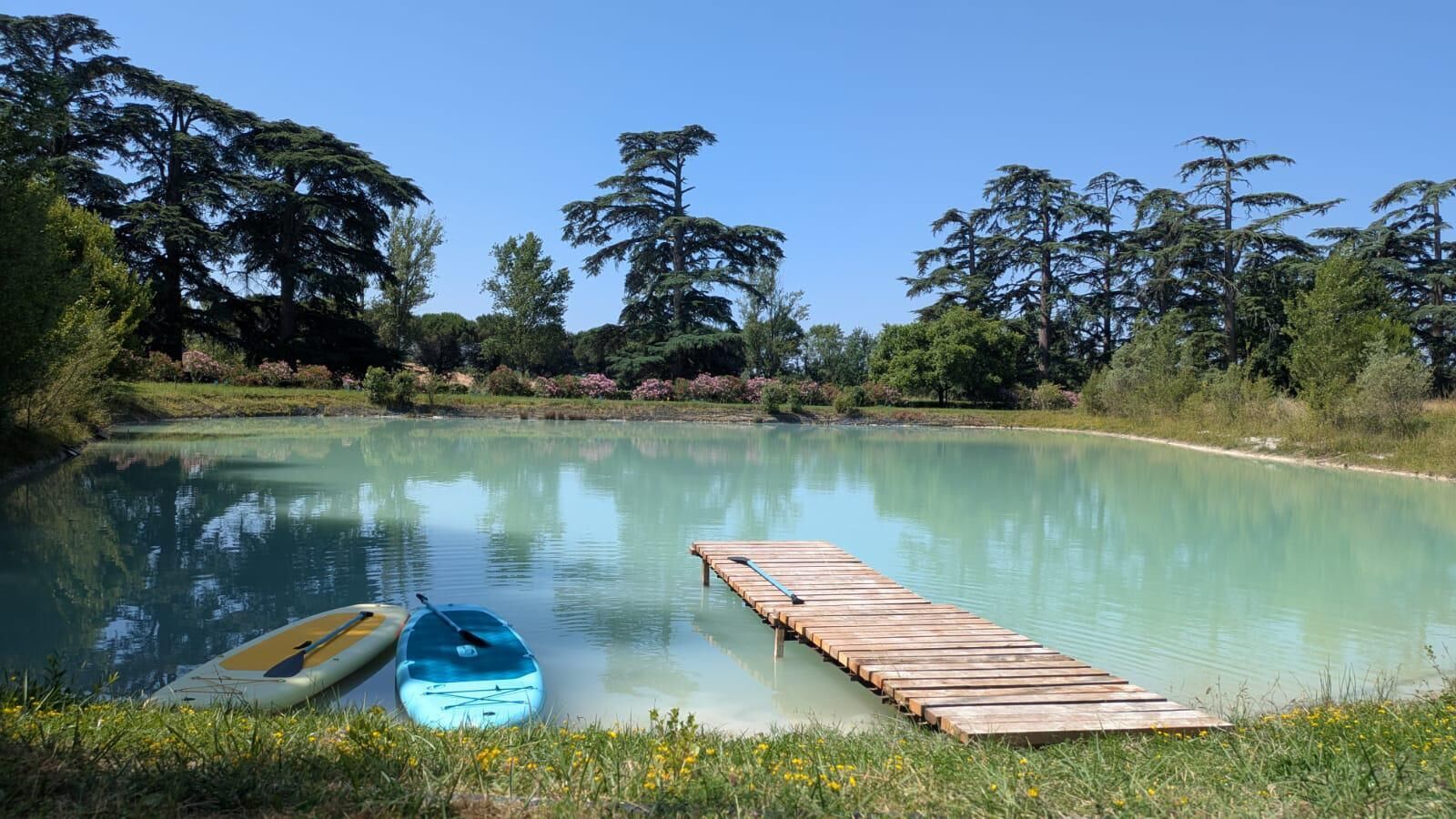 A calm lake with a wooden dock extending into the water, surrounded by lush greenery and trees.