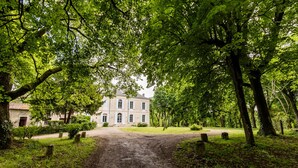 Uklassifisert bilde, 3 av 27, knapp