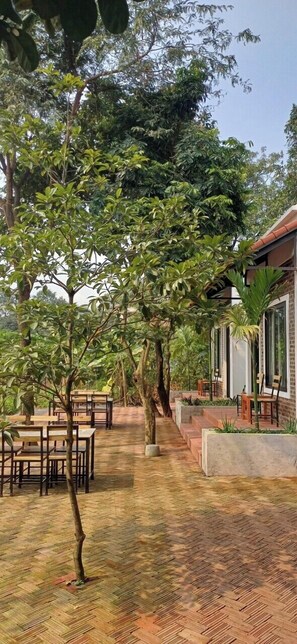 Un espace extérieur aménagé avec des tables et des chaises, entouré d’une végétation luxuriante et d’arbres.