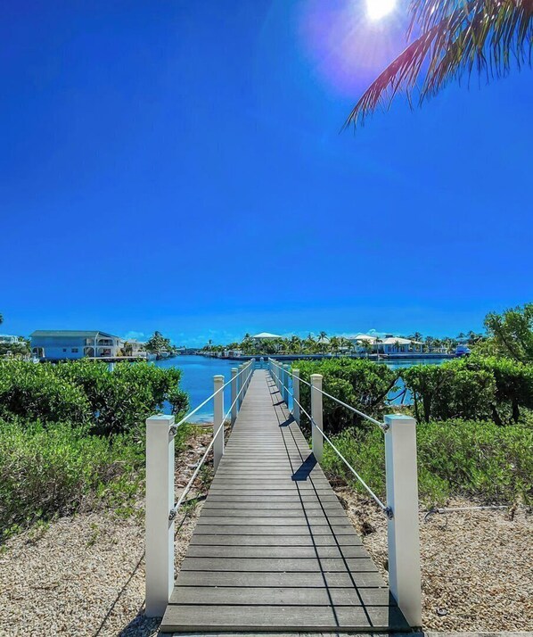 Imagen sin descripción, 1 de 35, botón