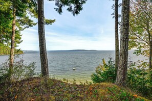 A lakeside view with tall trees and a distant shoreline. - Hood Canal Home w/ Stunning Views & Private Beach (Brinnon)