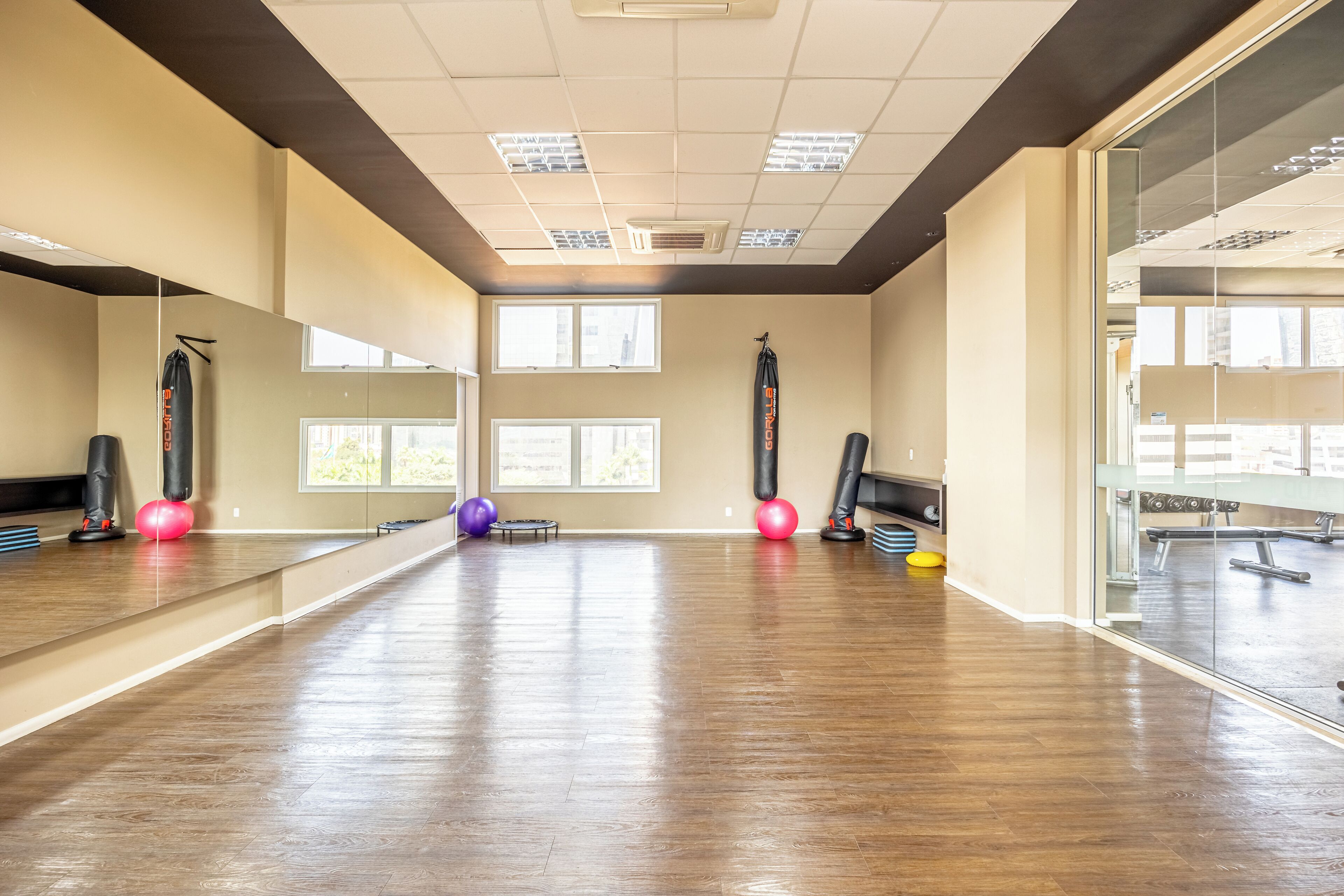 A spacious gym with wooden flooring, large windows, and exercise equipment like punching bags and exercise balls.
