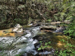 Unclassified image, 2 of 22, button