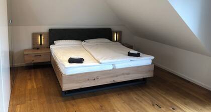 schicke DG Whg 2Zi+Wellnessbad+Dachterrasse ( Sonderkonditionen für Monatsmiete)