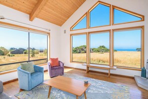 تلفزيون، مدفأة، مكتب