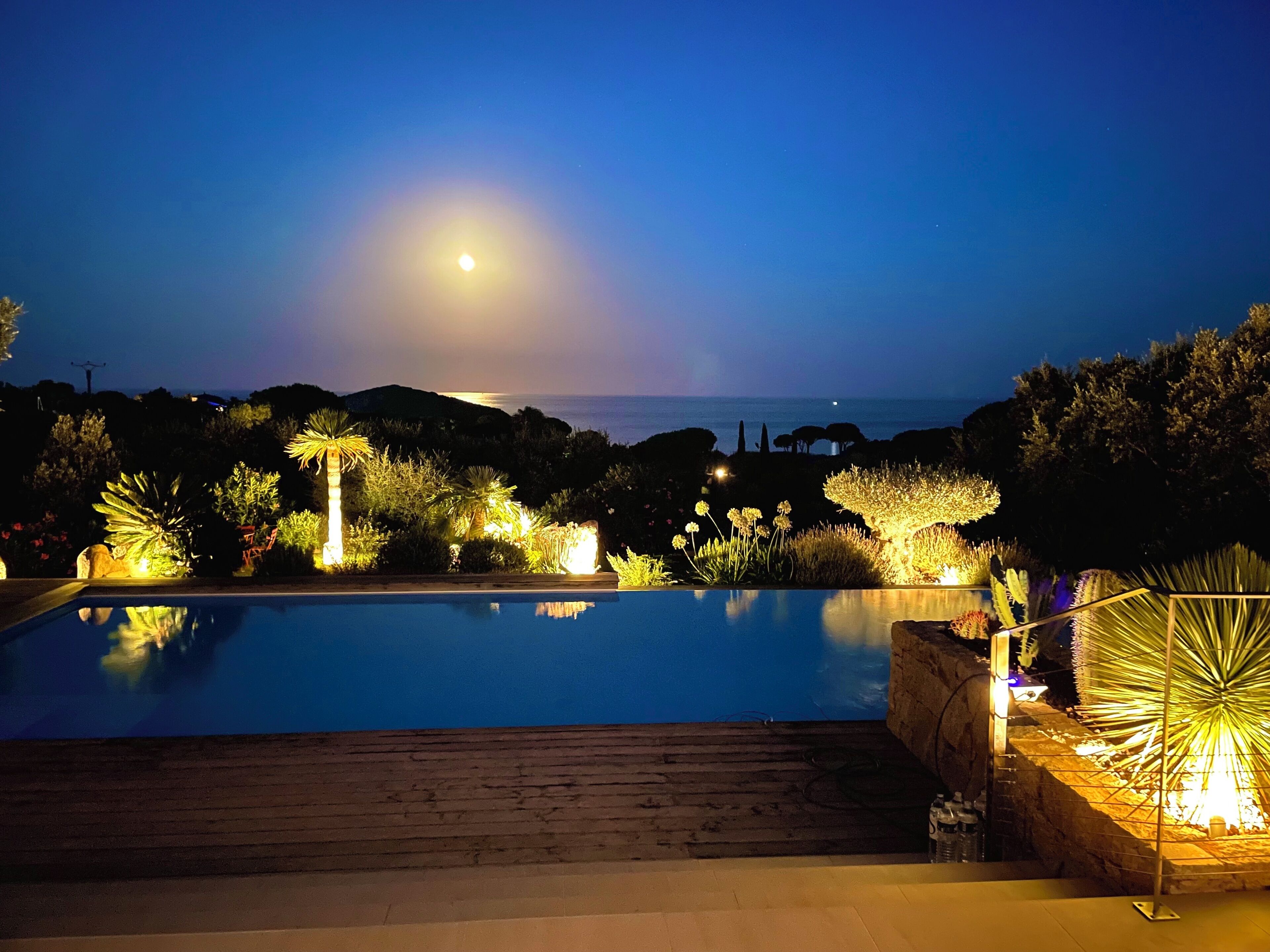 A nighttime view of a swimming pool with surrounding illuminated plants and a distant view of the ocean under a full moon.