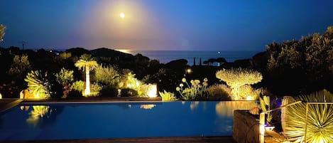A nighttime view of a swimming pool with surrounding illuminated plants and a distant view of the ocean under a full moon.