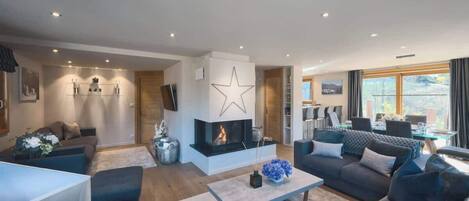 TV, fireplace, books