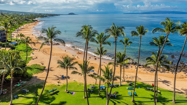 A beach with palm trees, a clear sky, and a view of the ocean. - Mana Kai Maui Resort, #405a 1 Bedroom Condo (Kihei)