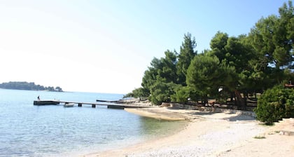 Apartments in Rovinj/istrien 11528