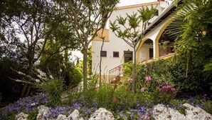 Ein Gebäude mit weißer Fassade, einer Treppe und einem Garten mit verschiedenen Pflanzen und Blumen.