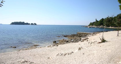 Apartments in Rovinj/istrien 11528