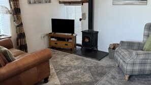 Smart TV y chimenea