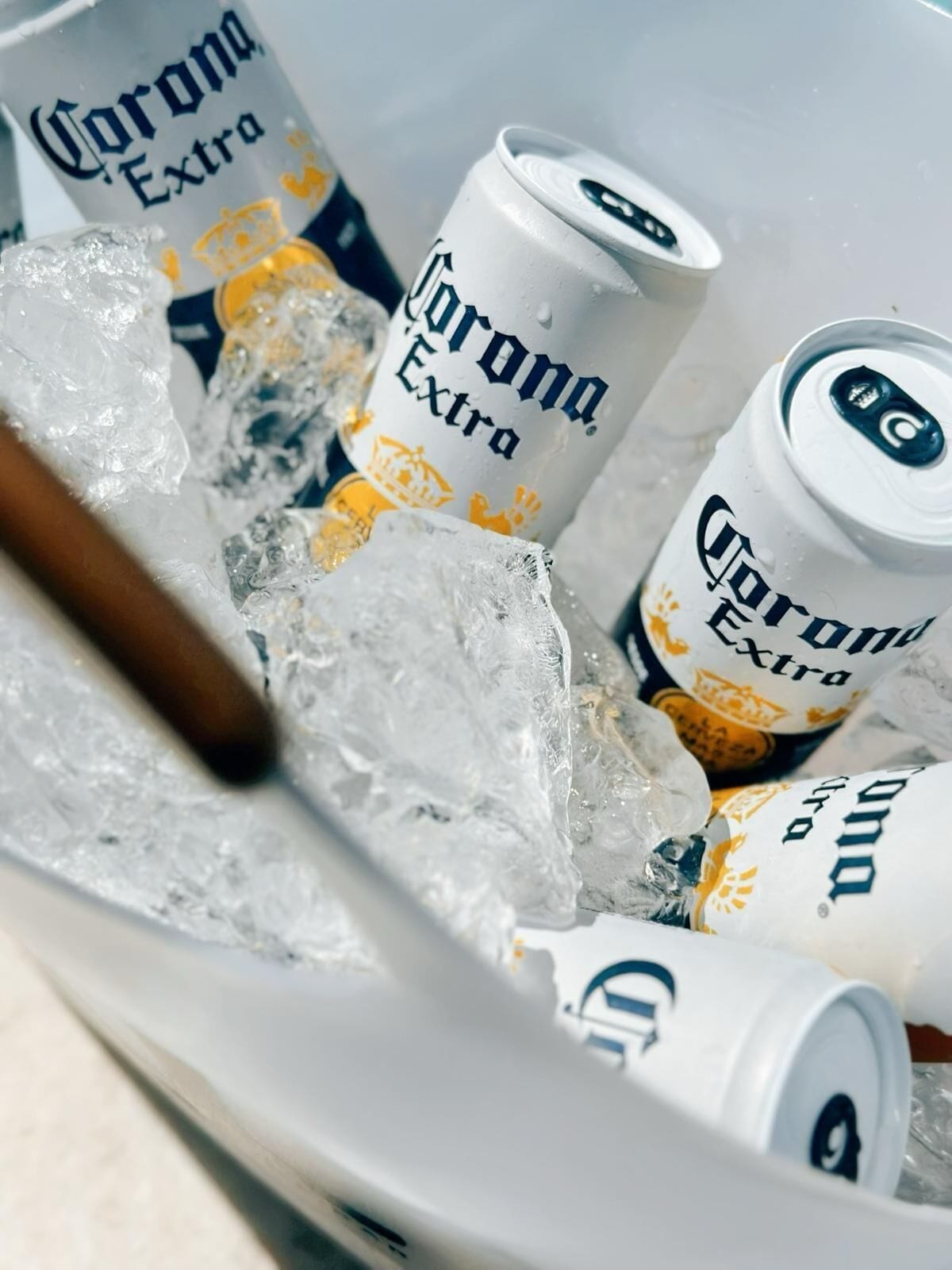 Un plateau de canettes de bière Corona Extra, posées sur de la glace.