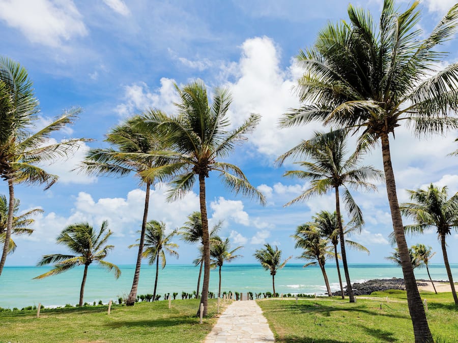Vista desde la propiedad