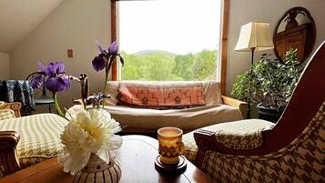 DVD player, books, video library