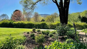 A garden with a large tree, well-maintained grass, and various shrubs. - Blue Rivers Loft on the Brew Ridge Trail (Afton)