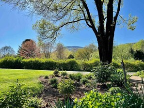 A garden with a large tree, well-maintained grass, and various shrubs.