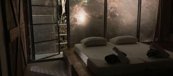 Gibbon Retreat Bentong