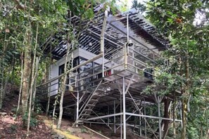 Room - Gibbon Retreat Bentong (Bentong)