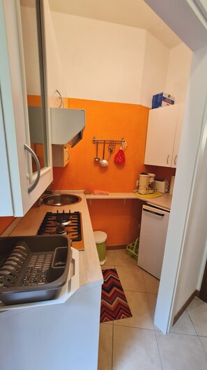 Fridge, microwave, coffee/tea maker, electric kettle - Lucerna studio 8 balcony vista (Tremosine)