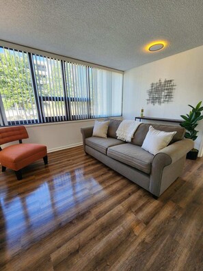 Smart TV - University of SC - Williams- Bryce Stadium - Downtown Cola (Columbia)