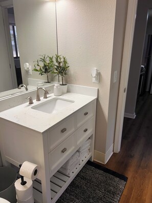 A bathroom with a white vanity, a sink, a mirror, a potted plant, and a towel rack. - University of SC - Williams- Bryce Stadium - Downtown Cola (Columbia)