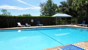 Pool - The Pelican Cove - Guest House  (Tampa)