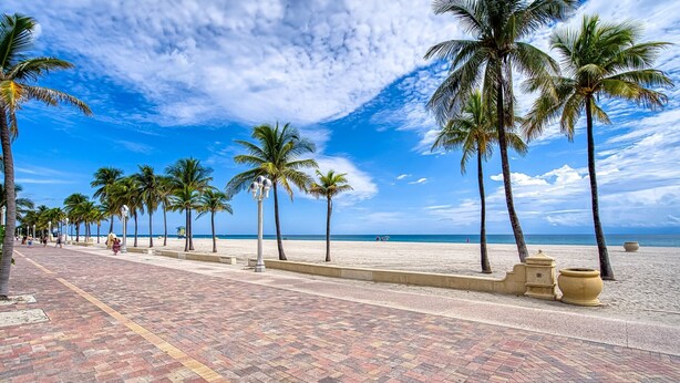 A paved walkway lined with palm trees and a beach in the background. - Casa Roselle  (Hollywood)