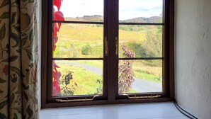 Una ventana con vistas a un paisaje rural, que incluye una carretera y vegetación.