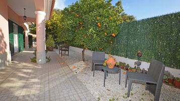 Terras