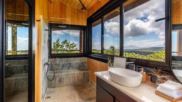 Hair dryer, towels, soap