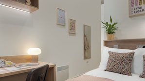 Hotellihuone, jossa on työpöytä, tuoli, sänky ja ruukussa oleva kasvi.