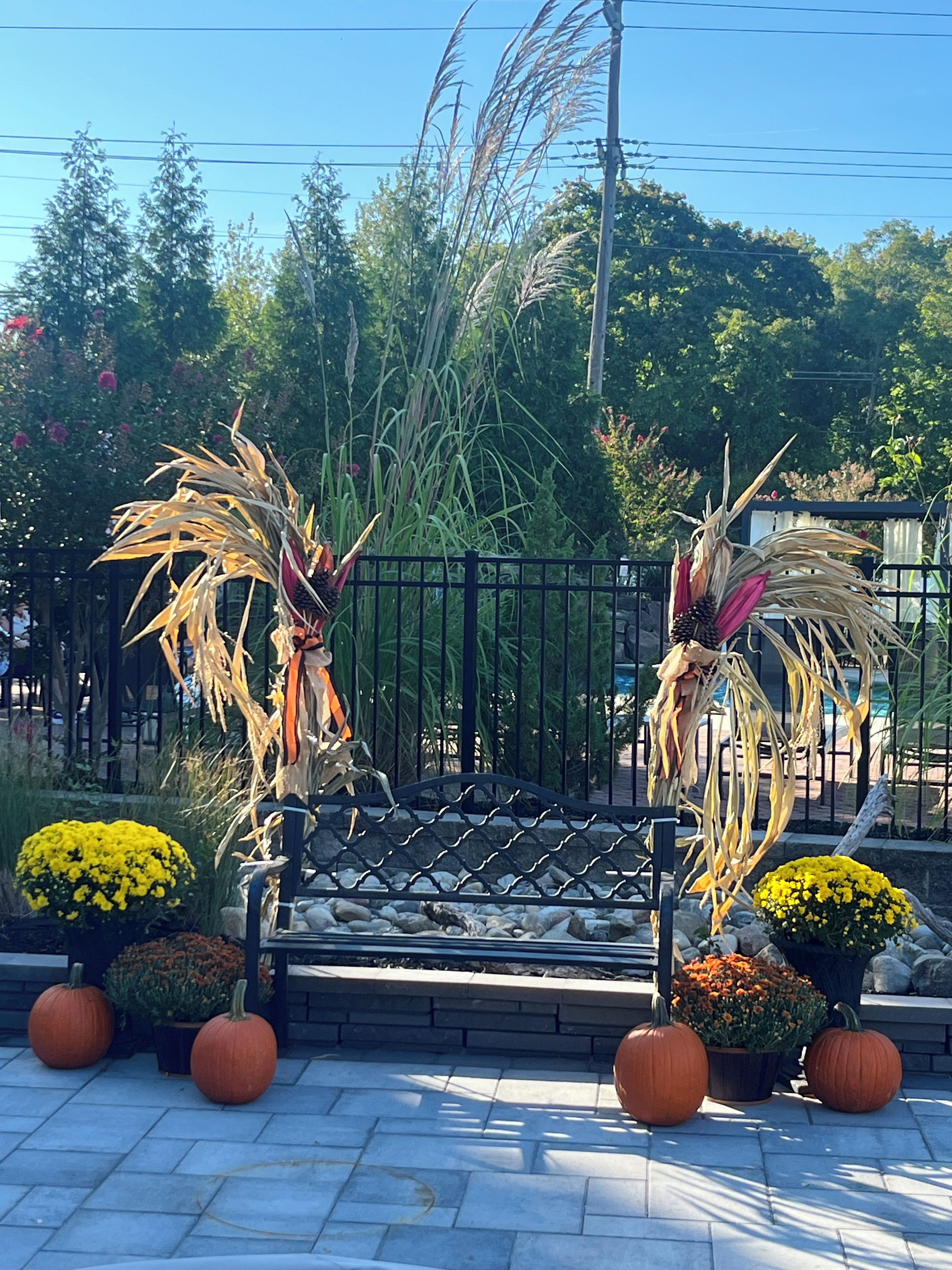 A bench with a metal frame and backrest, surrounded by potted plants and pumpkins.