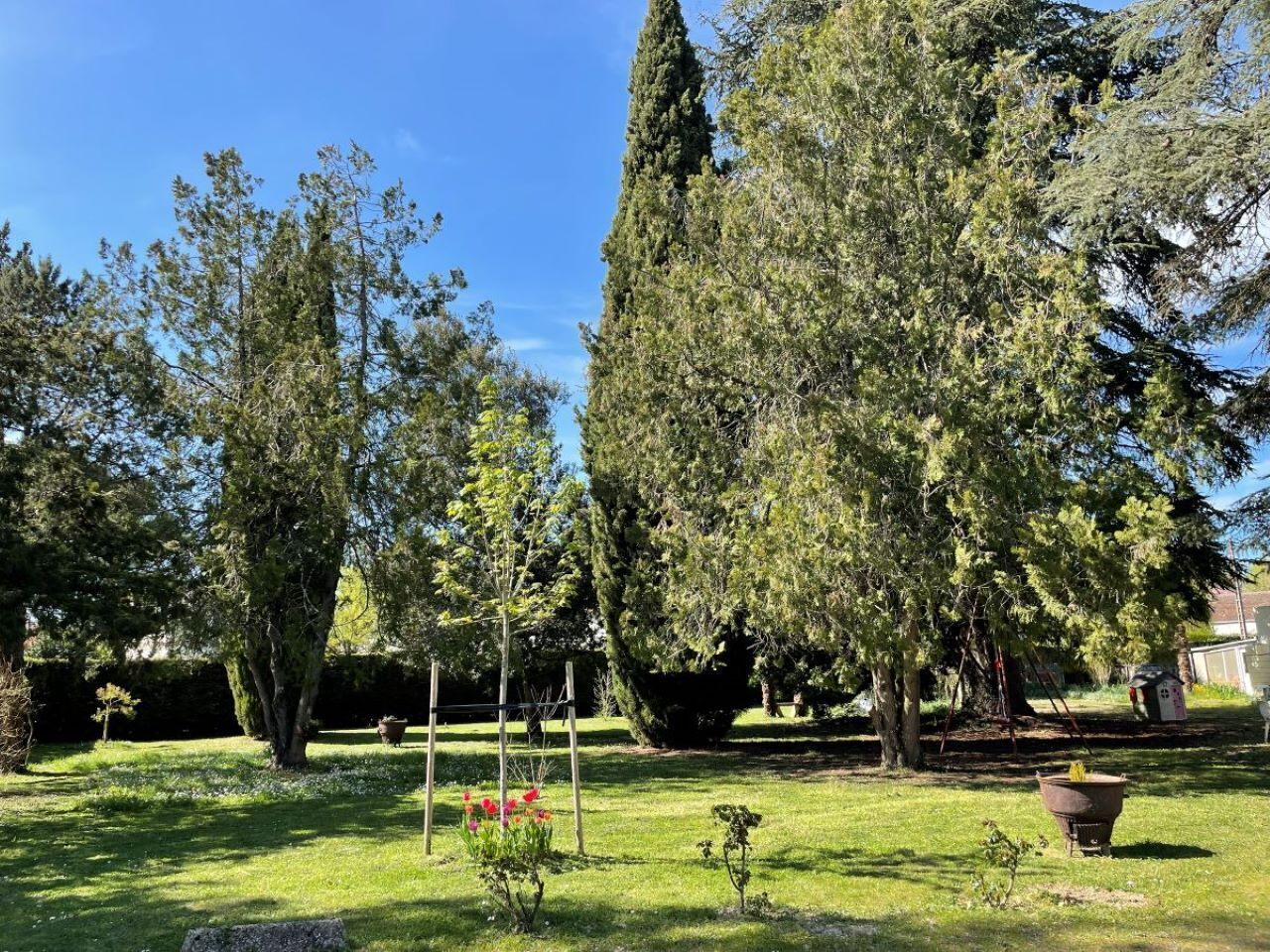 Un jardin bien entretenu, agrémenté de divers arbres, d’une pelouse et d’une tonnelle en bois.