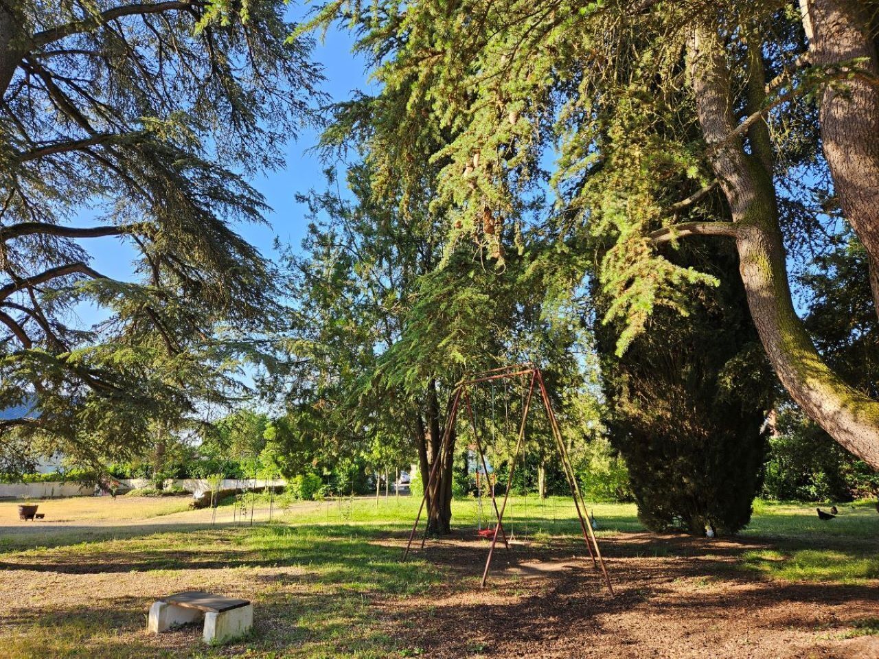 Un parque con un columpio, un árbol grande y una mesa de picnic.