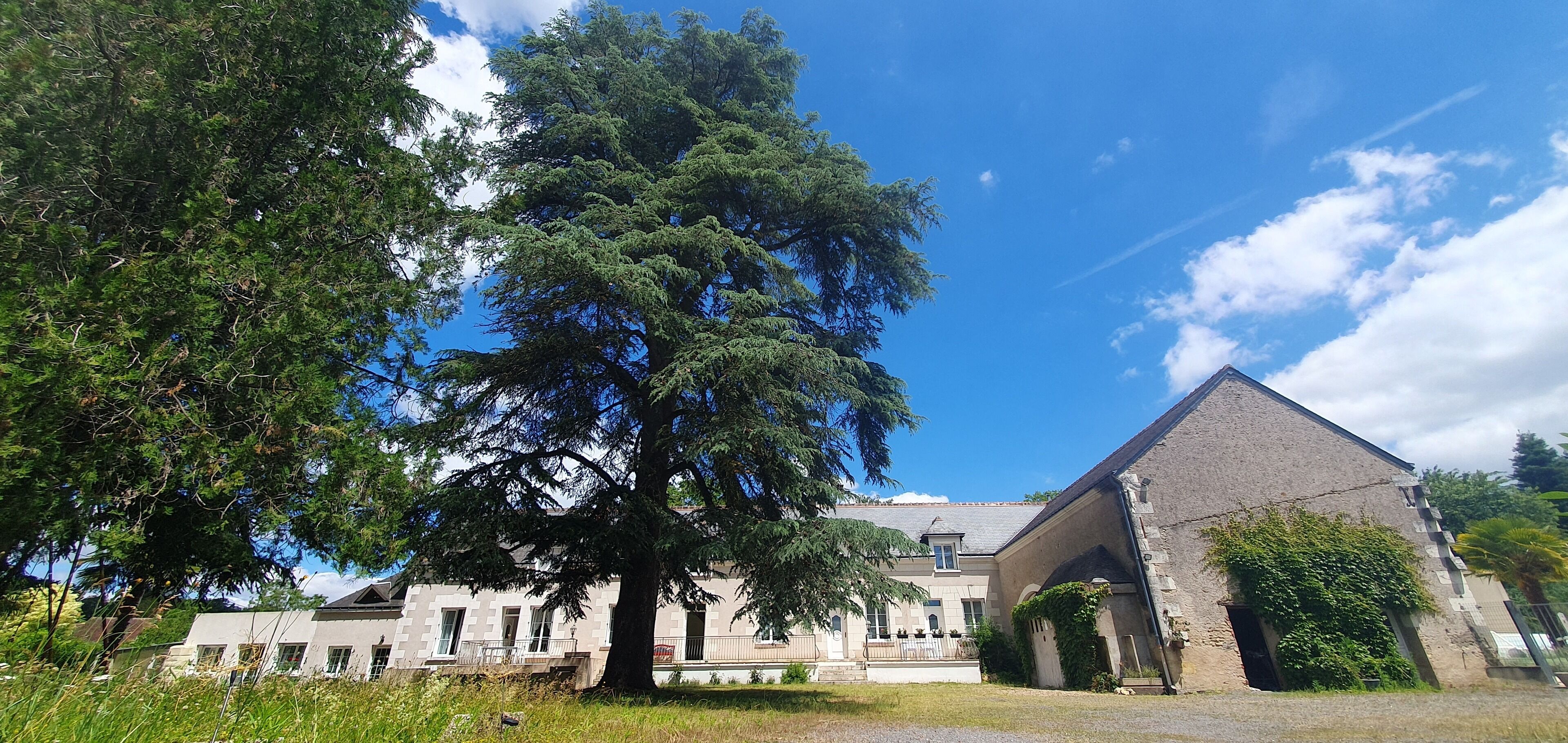 Un grand bâtiment avec un arbre imposant devant, une façade en pierre et un ciel d’un bleu éclatant.
