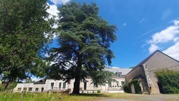 Un grand bâtiment avec un arbre imposant devant, une façade en pierre et un ciel d’un bleu éclatant.