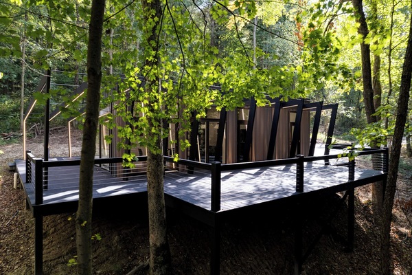 Modern Mohican Fauna Bluff