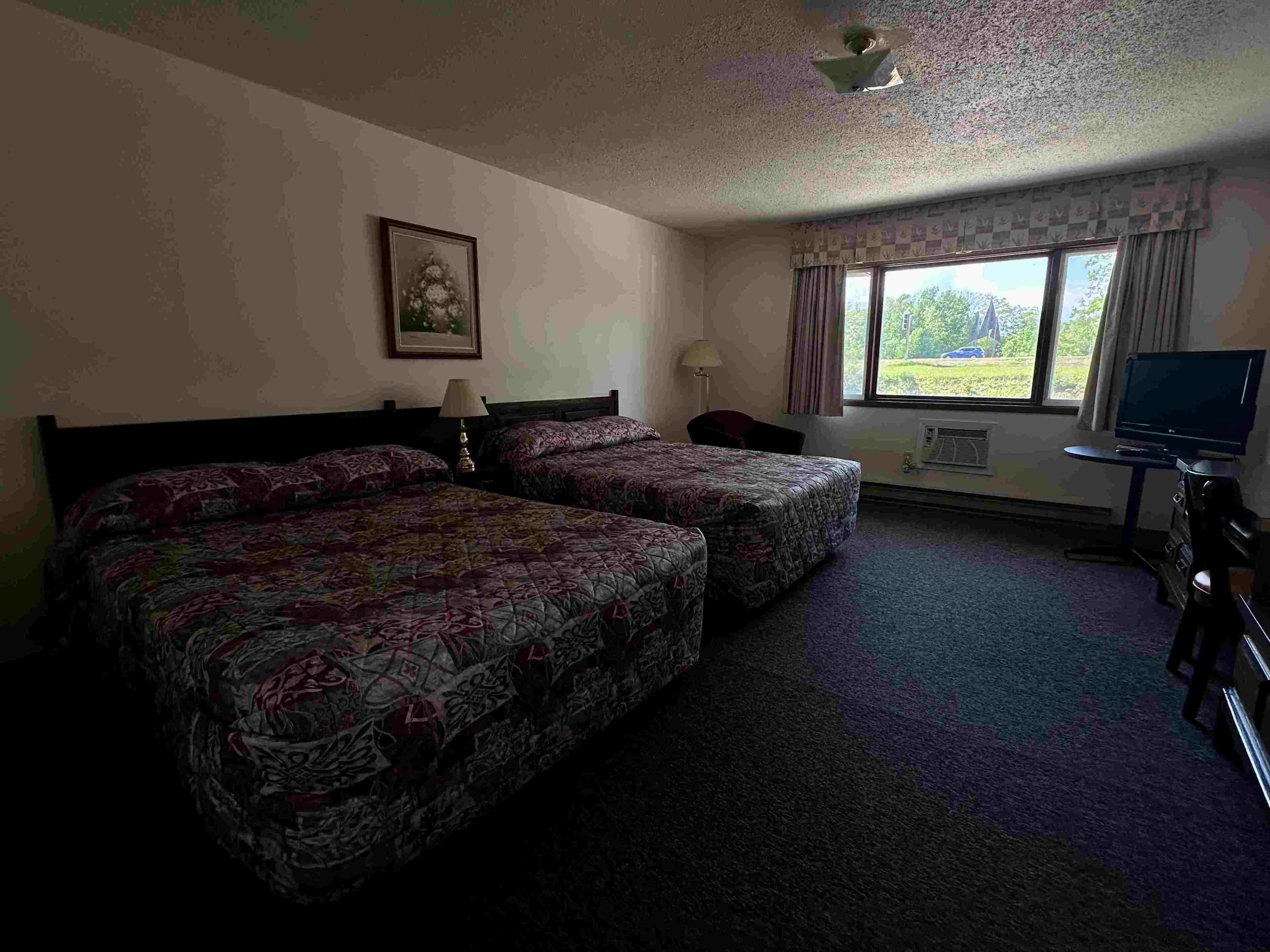 A room with two beds, a television, and a window with a view of greenery.
