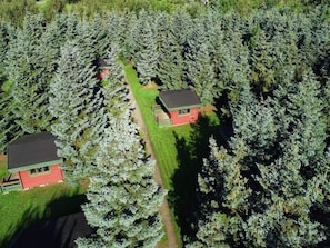 An aerial view of a forest with two red buildings, surrounded by dense trees. - 4 Person Holiday Park Home in Graested (Graested)